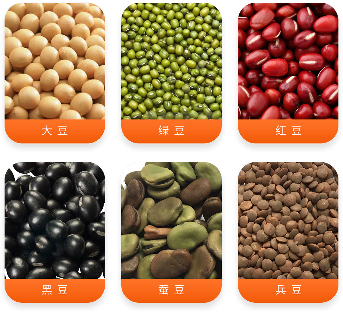 豆類(lèi)清理精選成套設(shè)備產(chǎn)成品圖