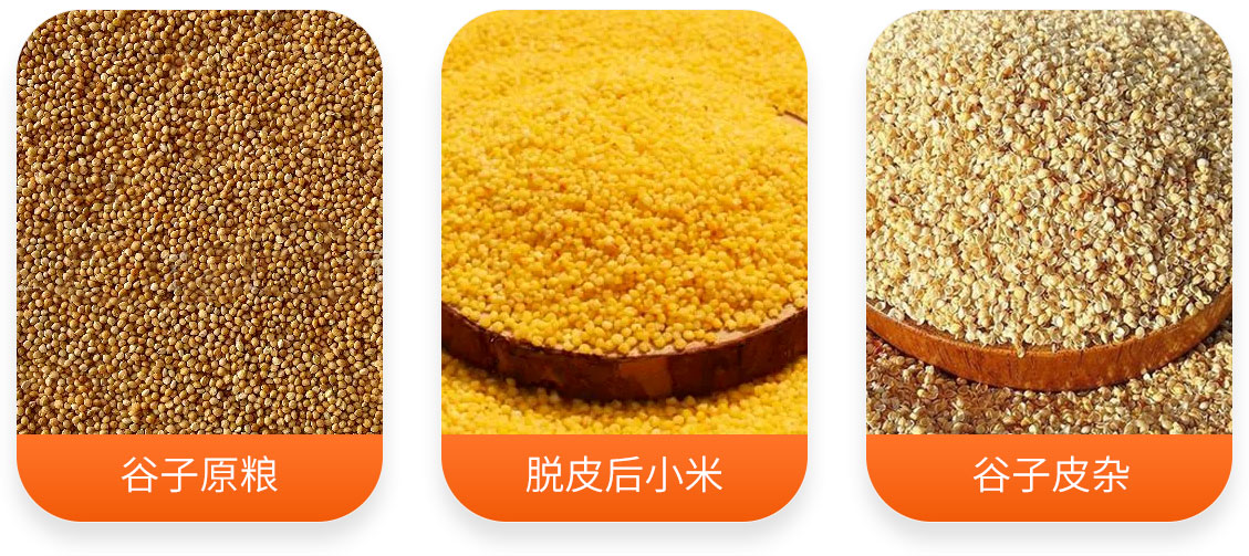 小米加工成套設(shè)備產(chǎn)成品圖